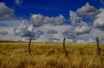 cielo y campo