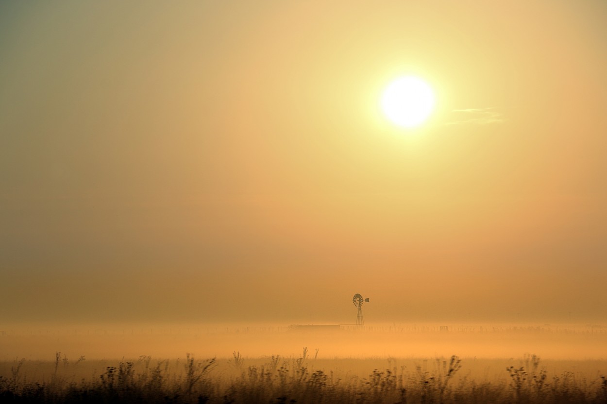 En un mar de niebla