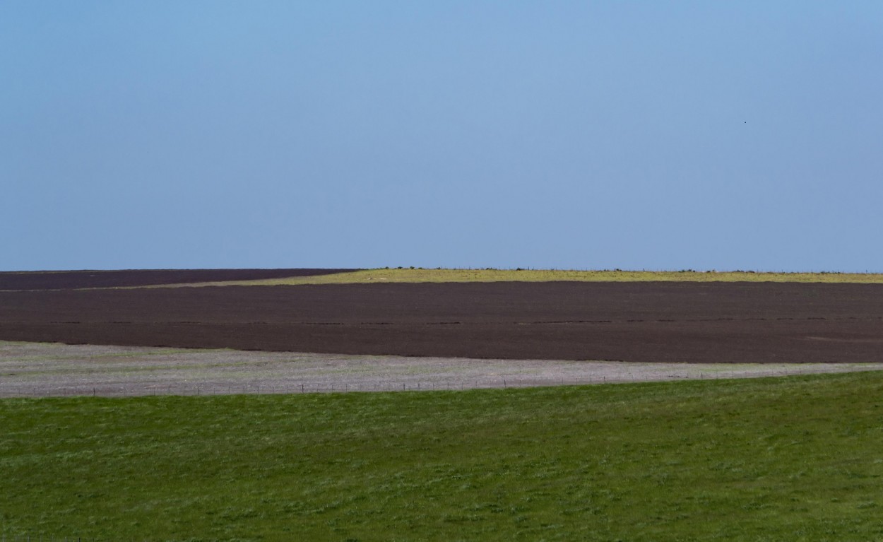 Colores del campo