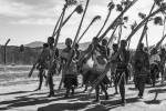 Reed Dance I