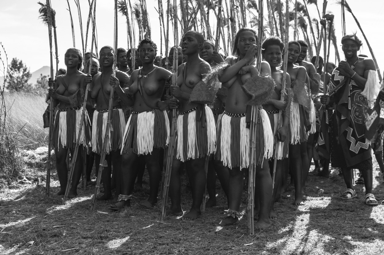 Reed Dance II