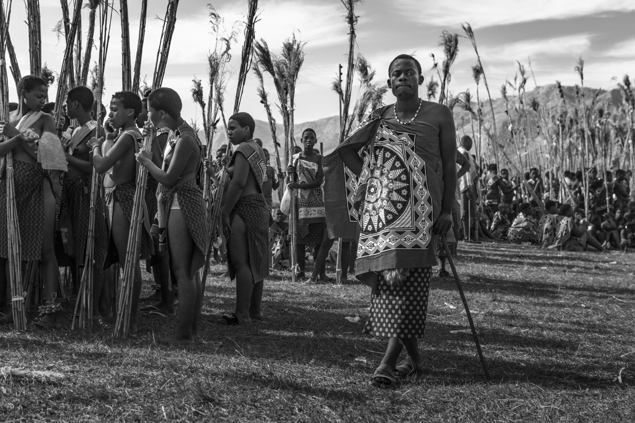 Reed Dance IV