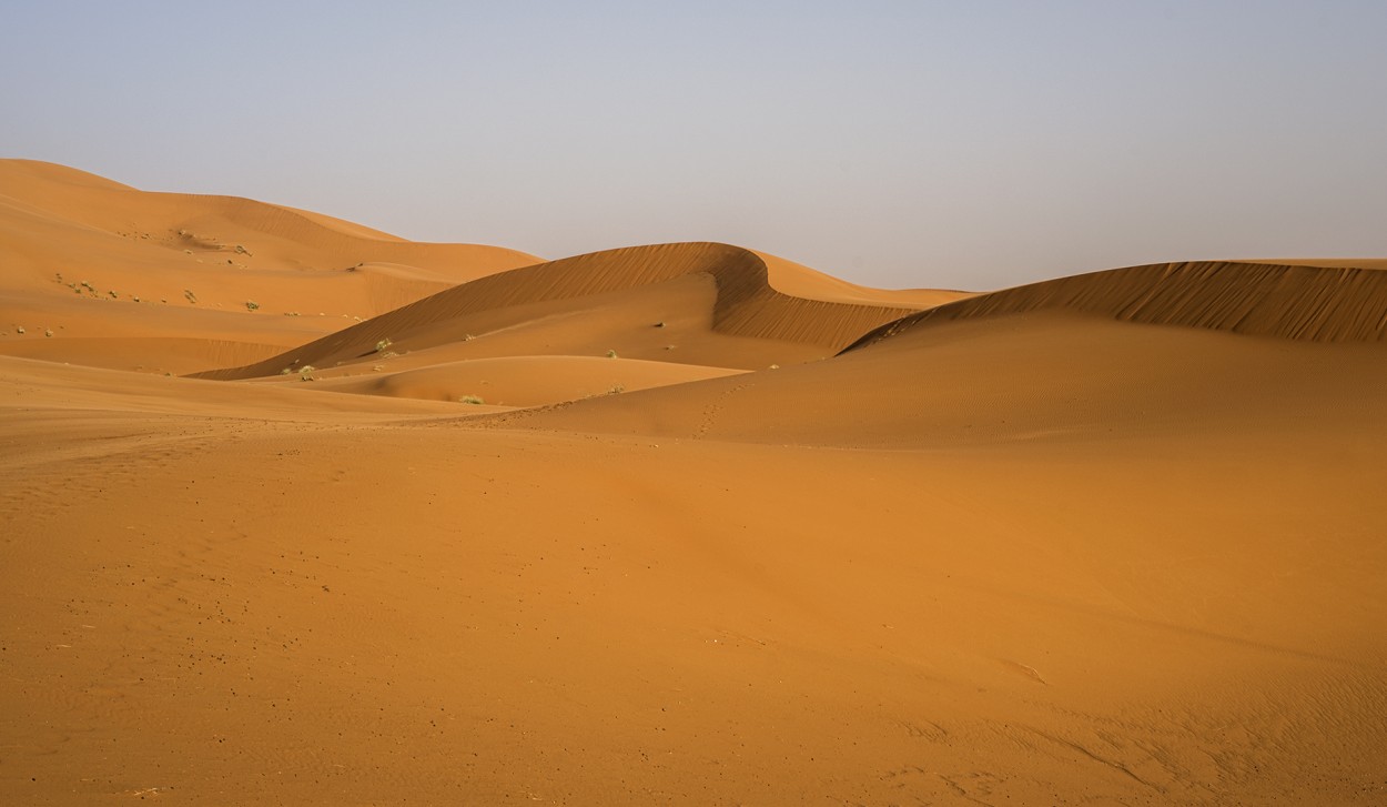 Dunas