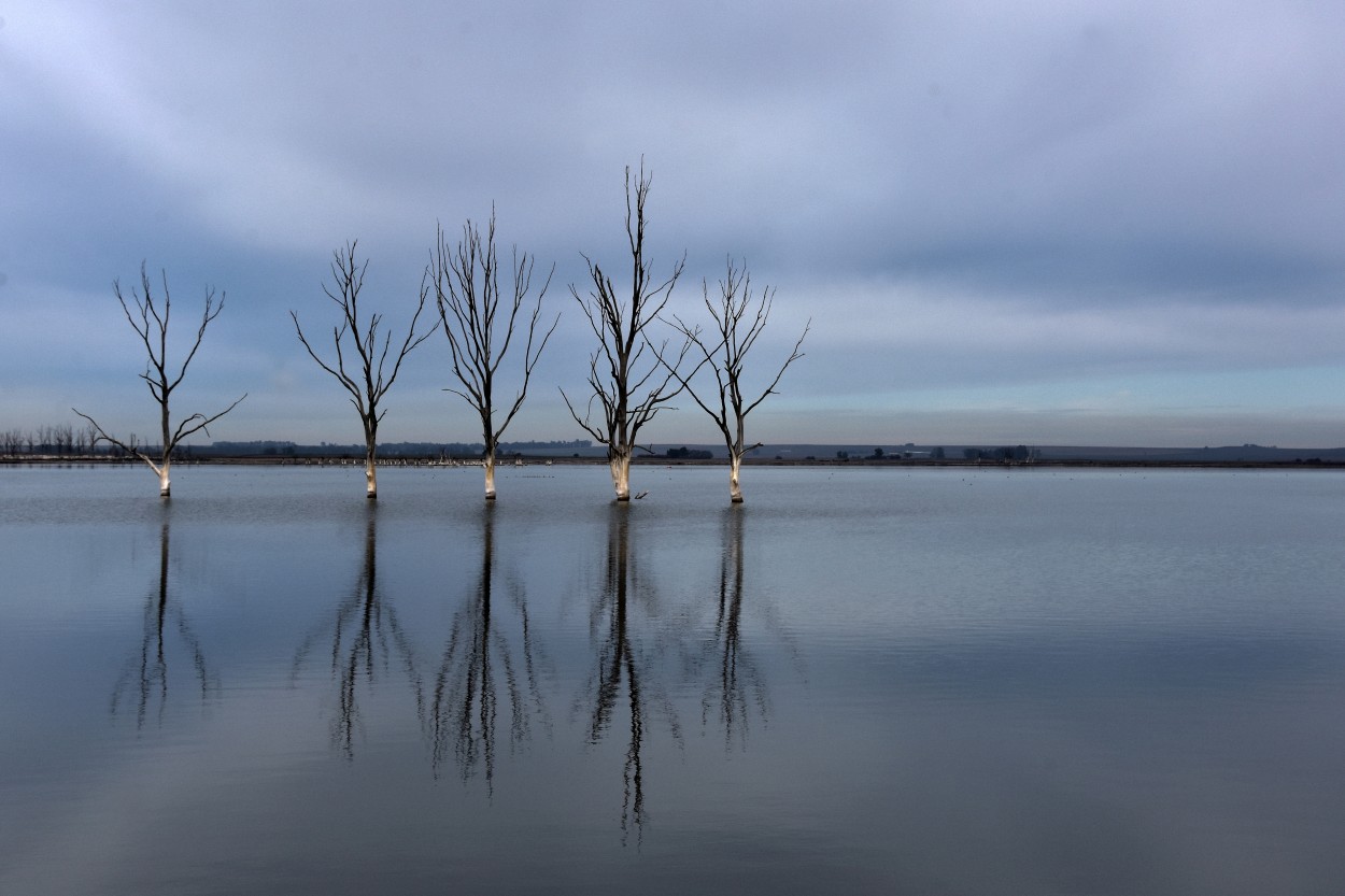 Lago olvidado