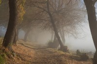 Neblina en Rio Alumin