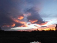 atardecer patagonico