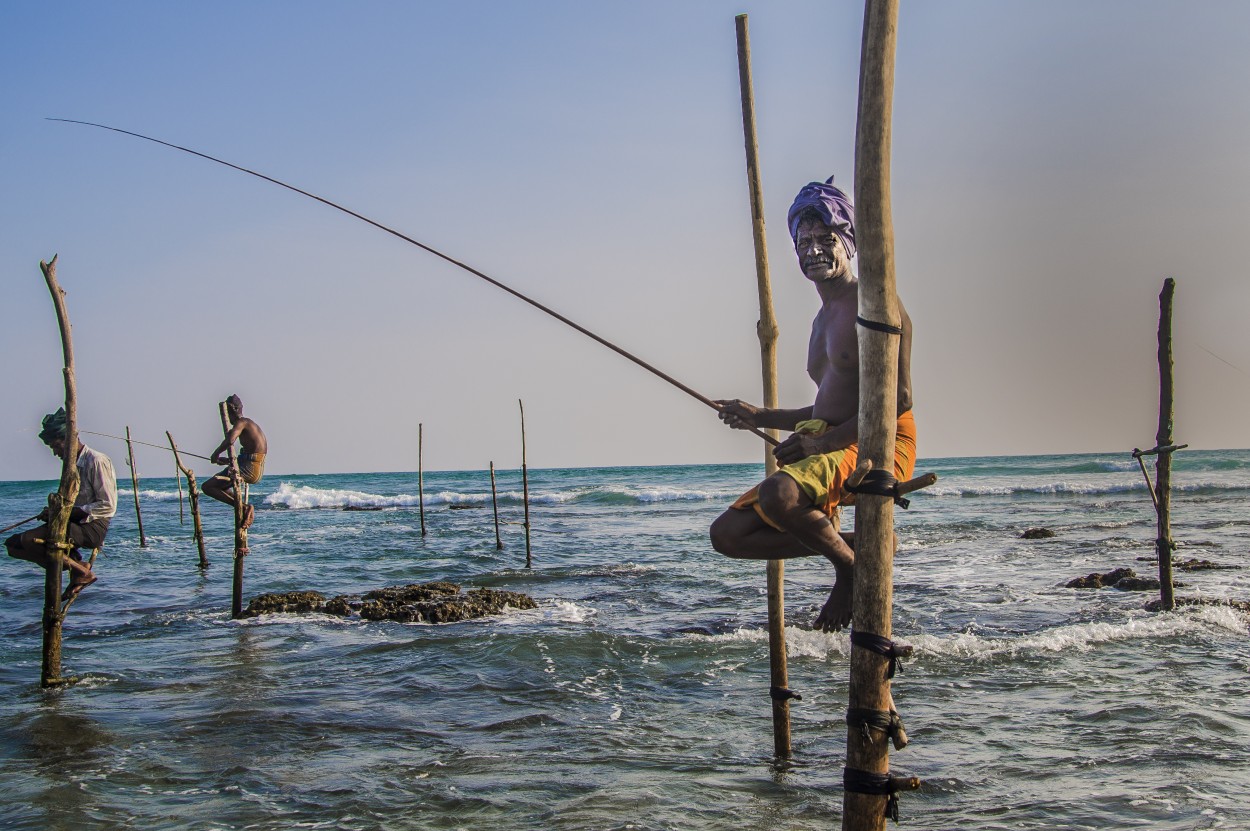 Pescadores zancudos