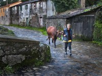 Galicia al natural