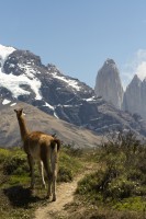 Torres del Paine