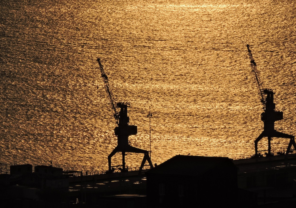 Perfil de Gras sobre un mar dorado, Valparaiso