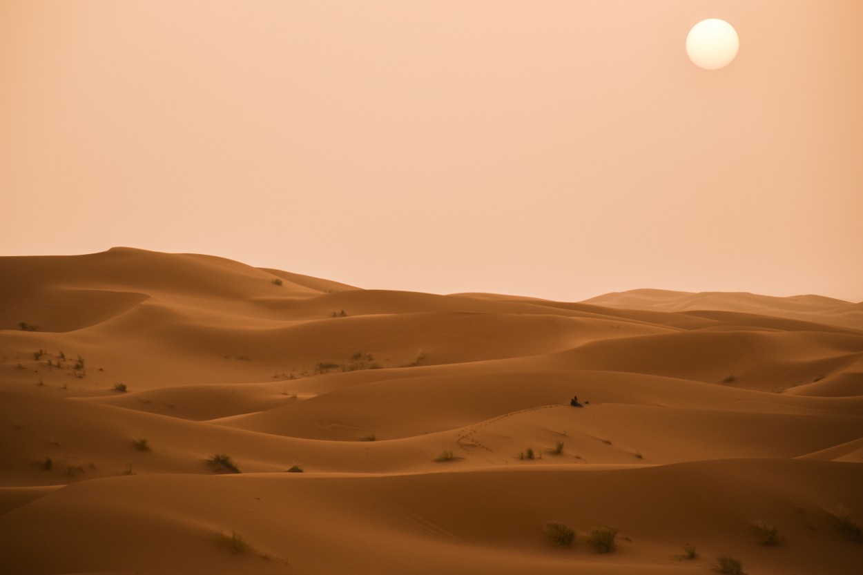 Sahara