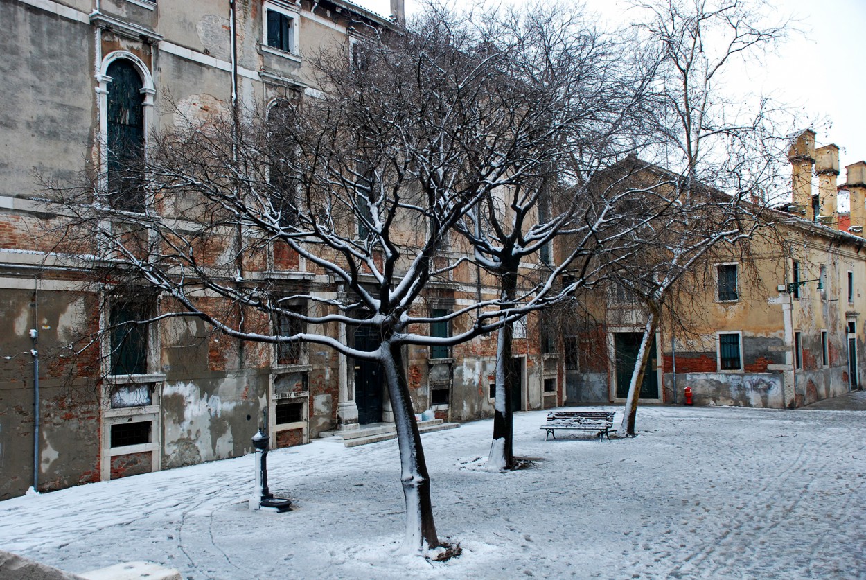 FANTASMAS NEVADOS