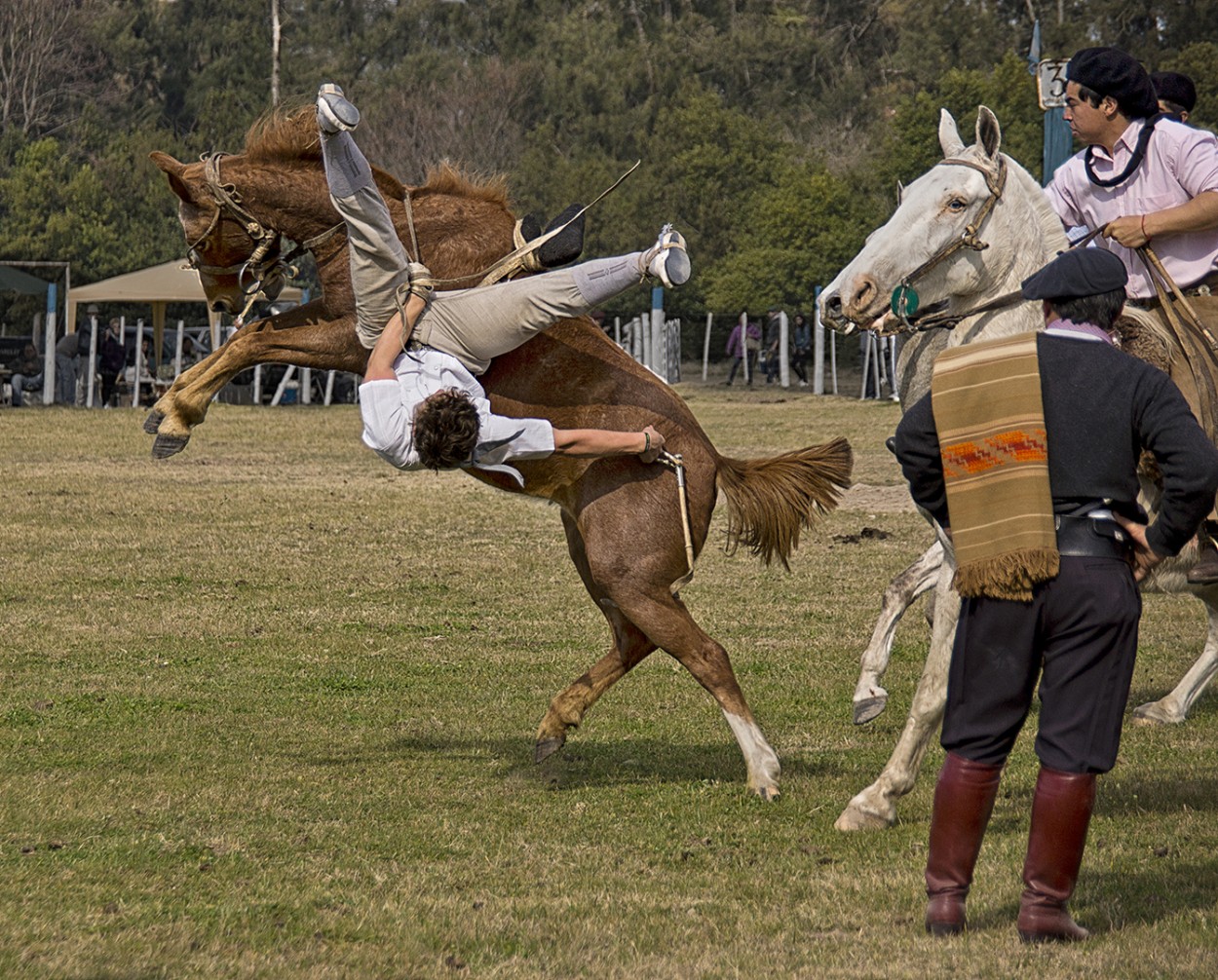 Patas arriba