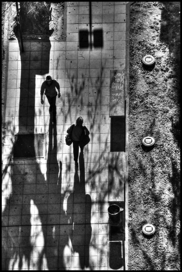 Sombras de la tarde II