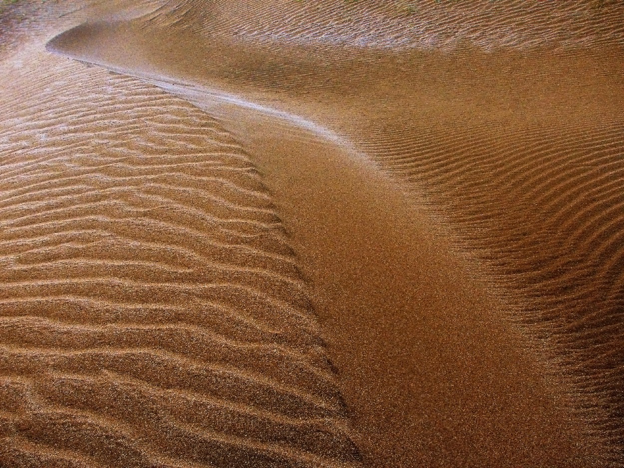 Escultura del viento