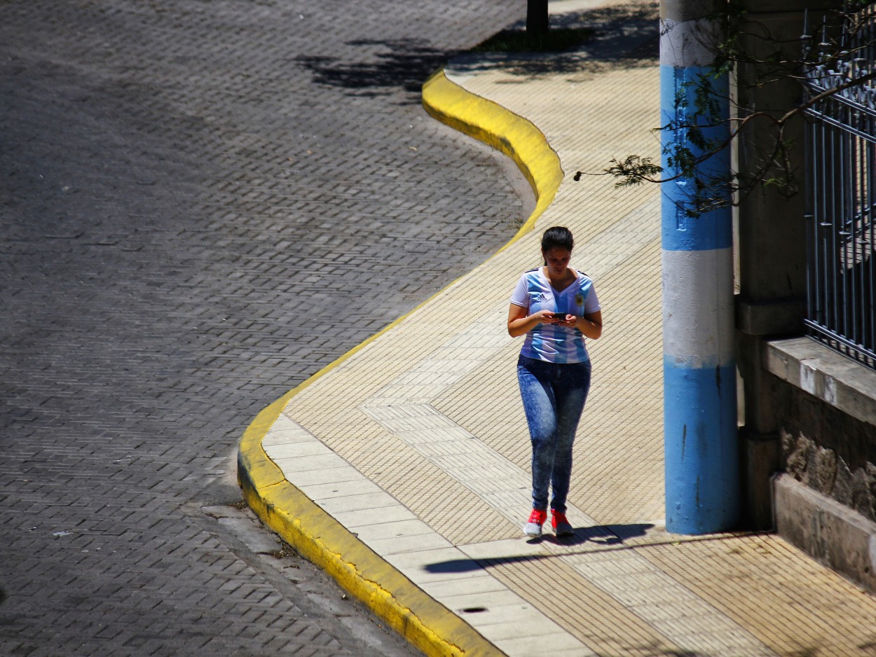 Pasin celeste y blanca