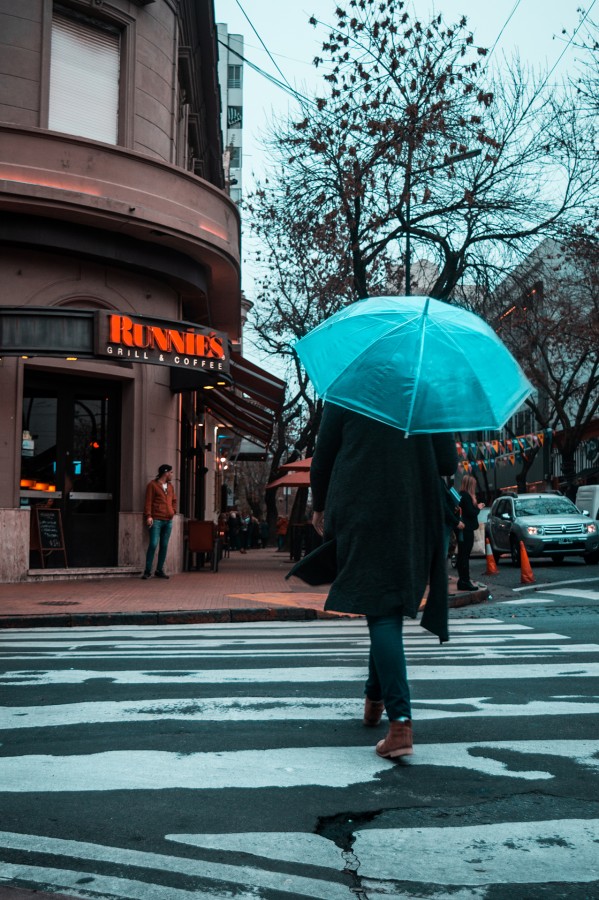 Tarde de lluvia