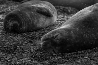 Siesta bajo la lluvia.