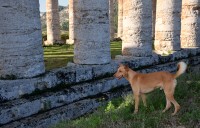 Trapani_Italia_19102018