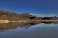 Lagunas Altiplnicas