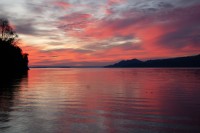 Reflejos Rojos