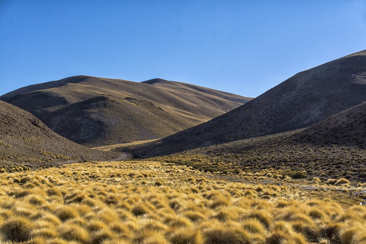 Quebrada de Calalaste - Catamarca