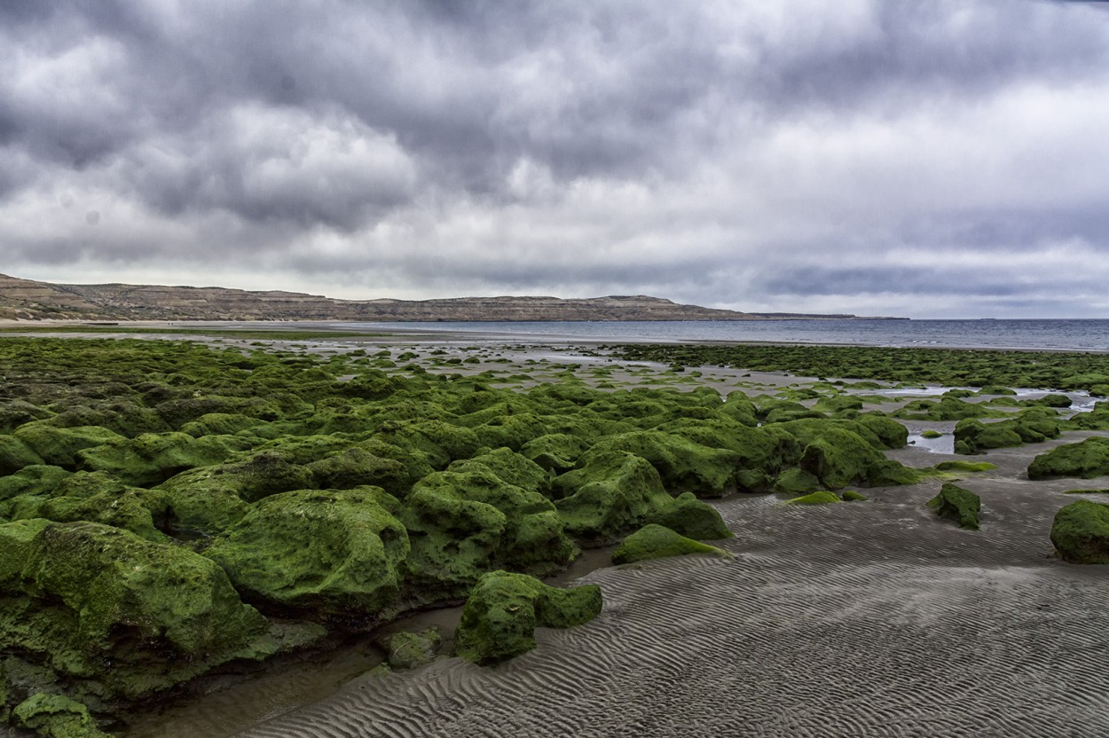 Playa en Puerto Piramides II - Chubut