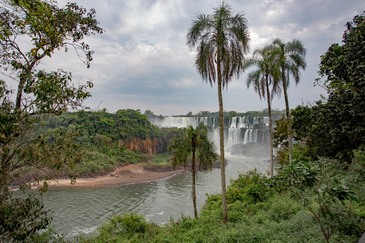 Selva y agua