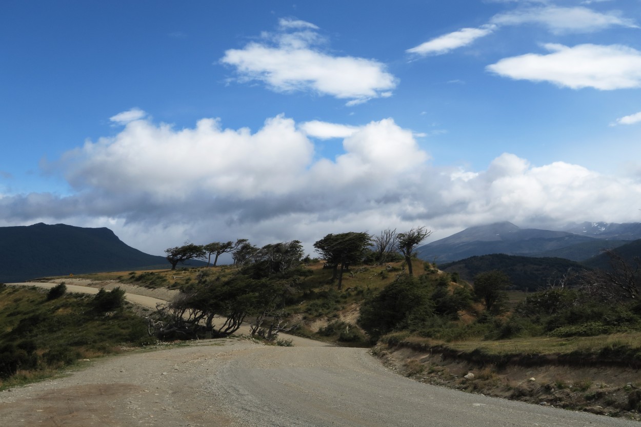 Camino sinuoso