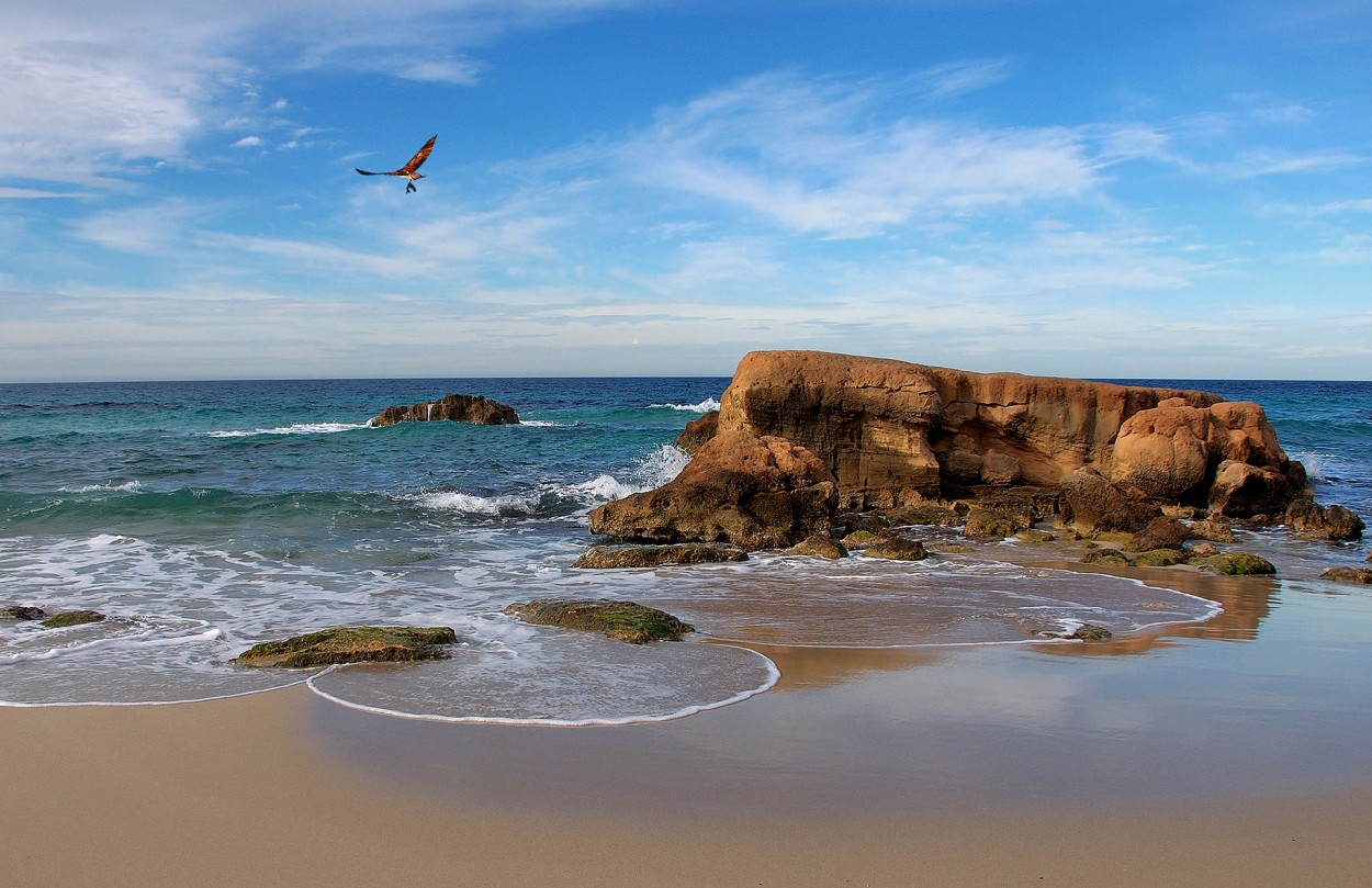 Mecida por las olas