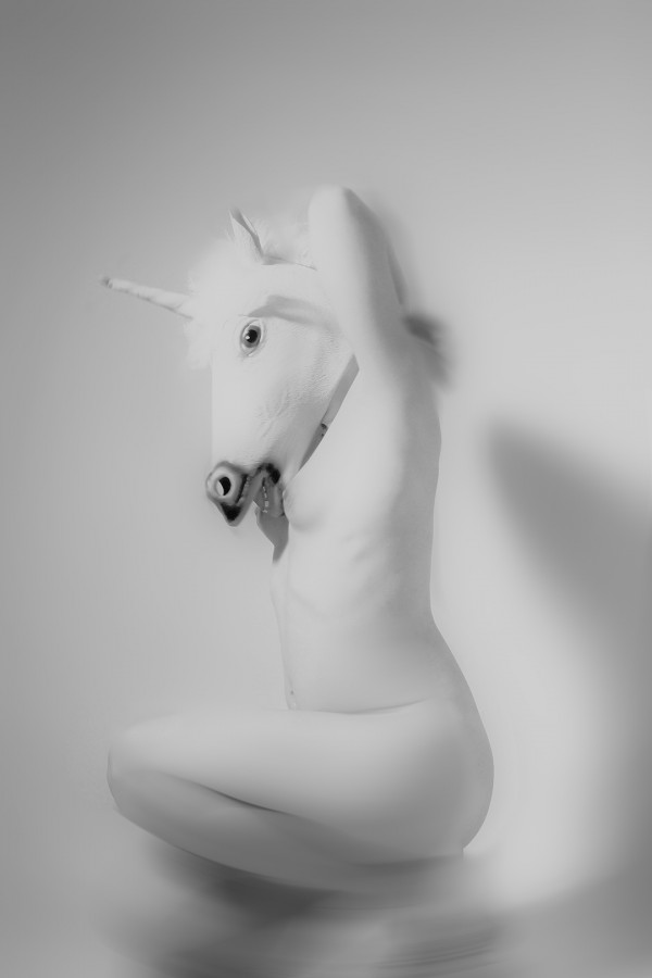 unicornio