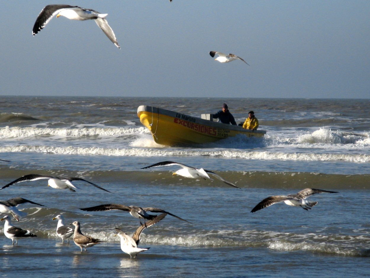 Los pescadores