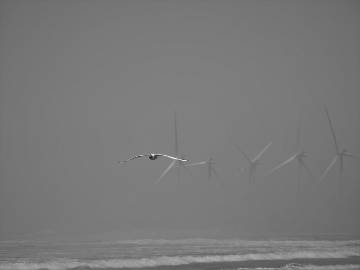 Contra viento y marea