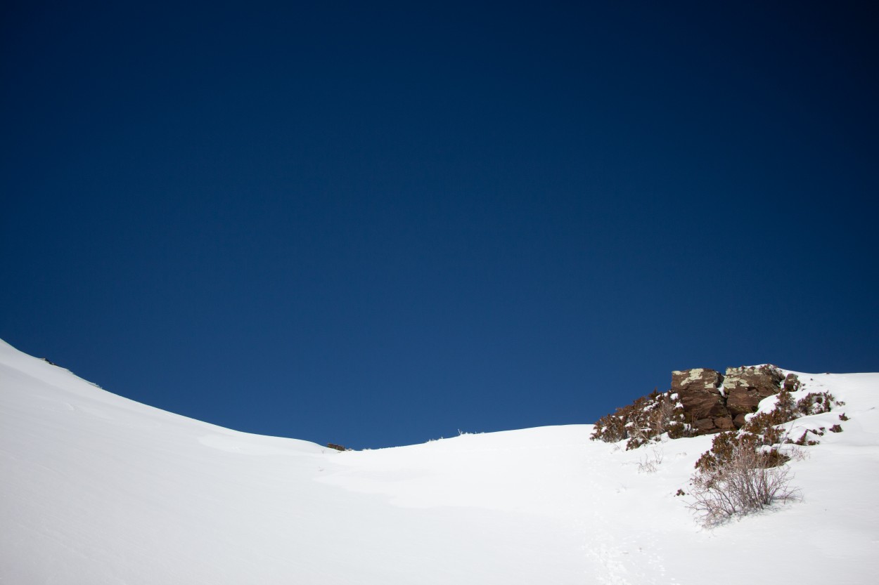 Nevada la sierra