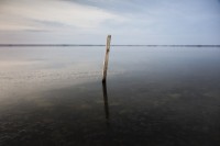 Epecuen II