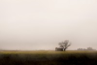 Lluvias de julio