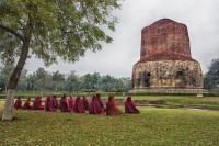 Meditando en el Sarnath