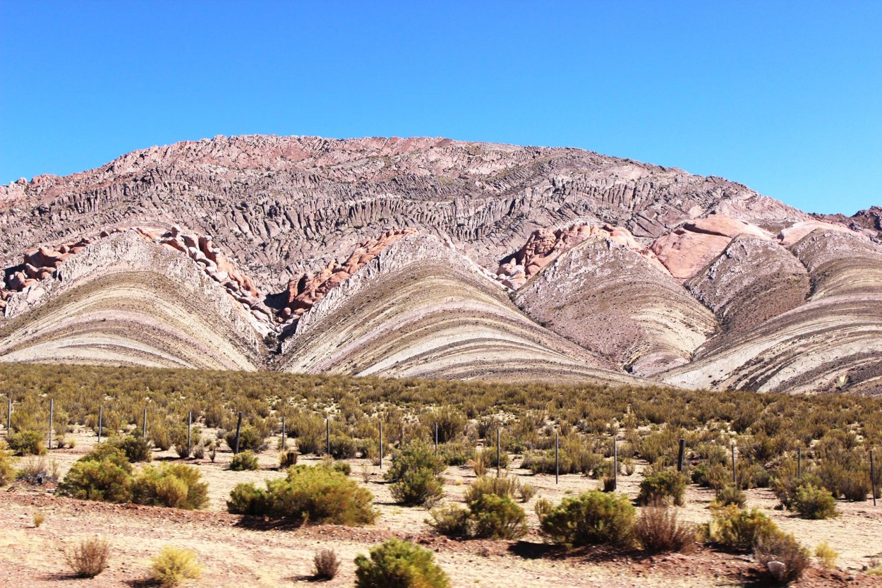 Jujuy