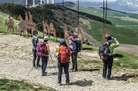 camino de santiago