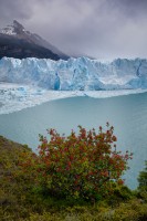 Glaciar Perito Moreno