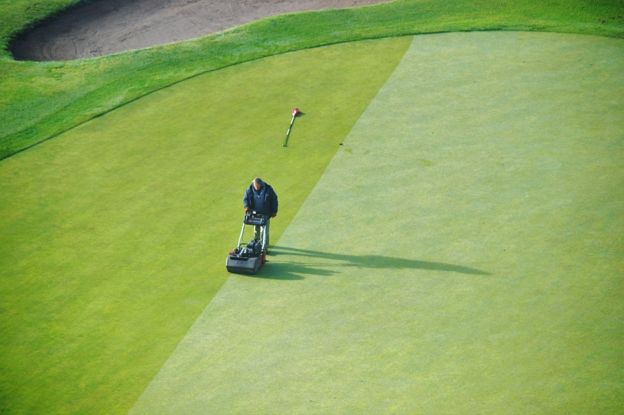 Estilista del golf (desde mi ventana)