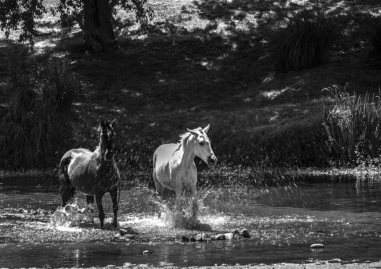 A refrescarse...