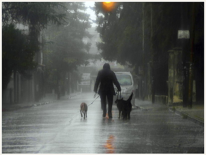 A casa que llueve