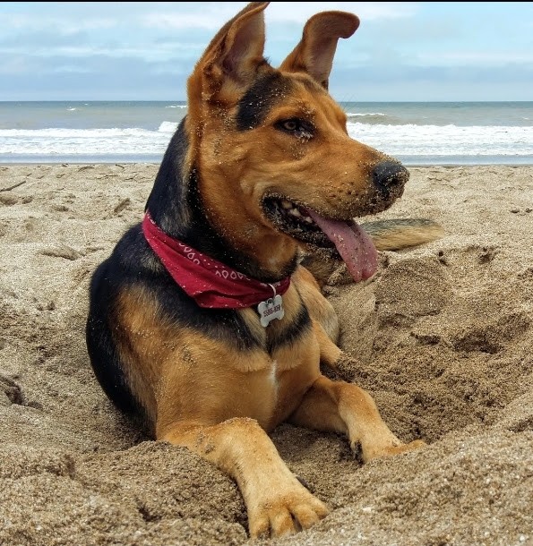 descansando en la Playa