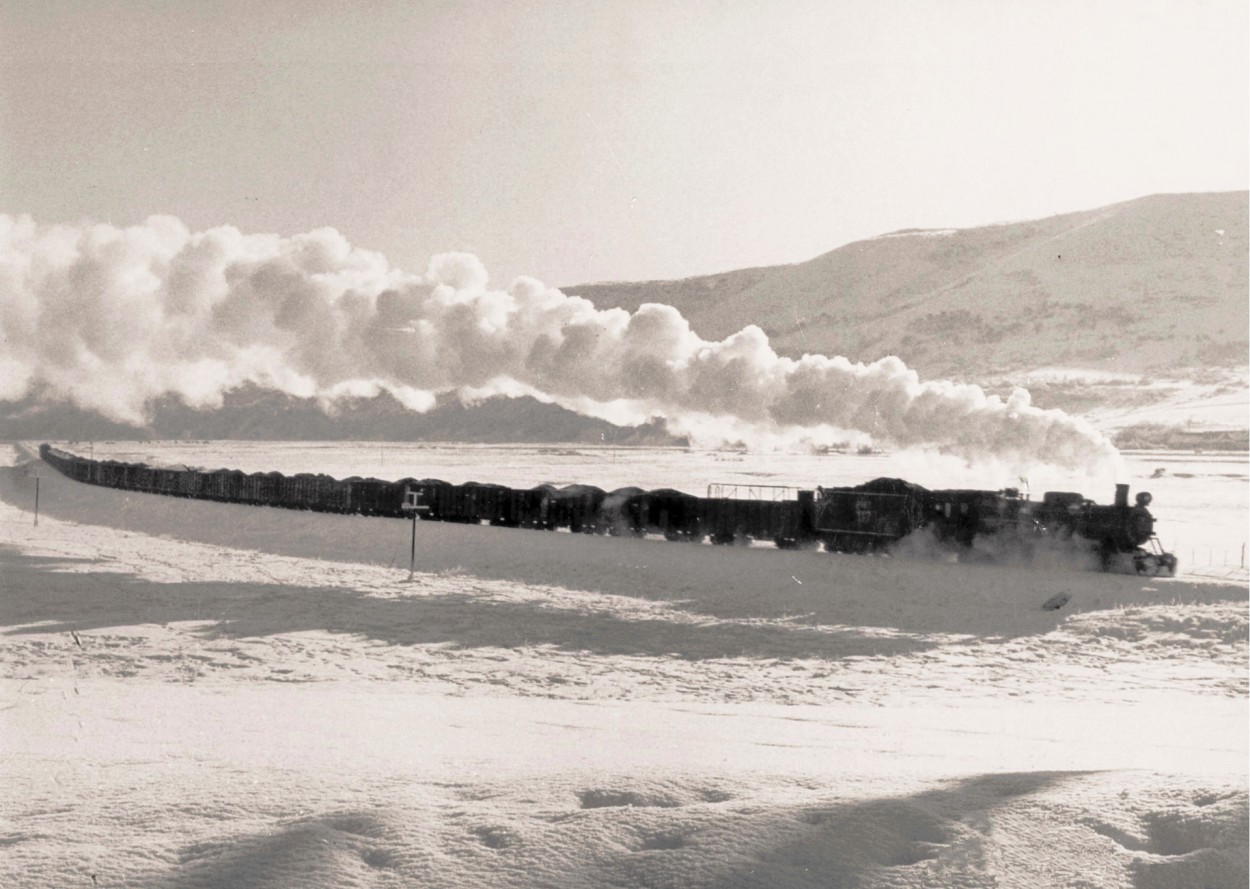 El Tren bala. Sta Cruz. Arg.