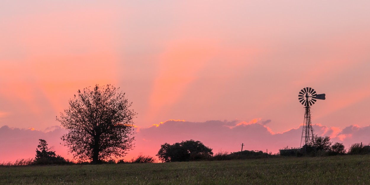 Atardecer rosado