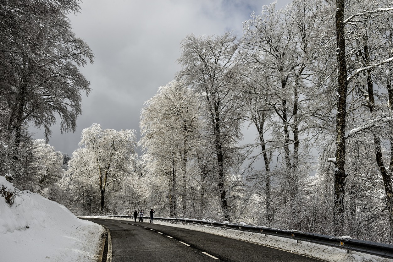 paseo invernal