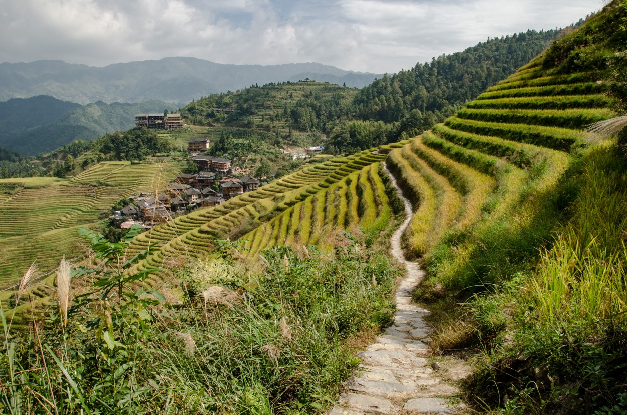 paisaje Rural-Villa Dazahi,Longsheng.China II