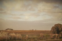 `Silencio en la Naturaleza`