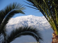 Cordillera de los Andes